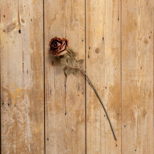Dusty Rose Stem